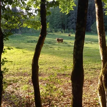 Les Copains De Maui Apartmán Baerenthal