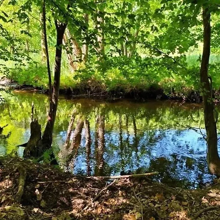 Les Copains De Maui Apartmán *