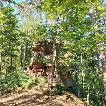 Les Copains De Maui Apartment *