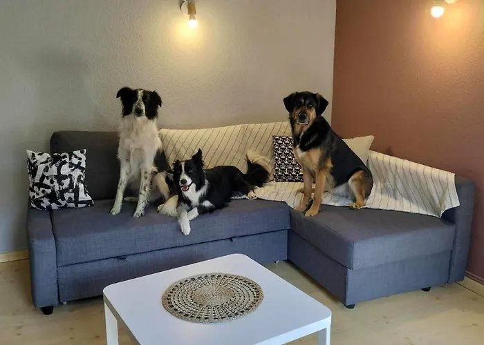 Les Copains De Maui Apartmán Baerenthal