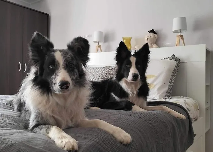 Les Copains De Maui * Baerenthal