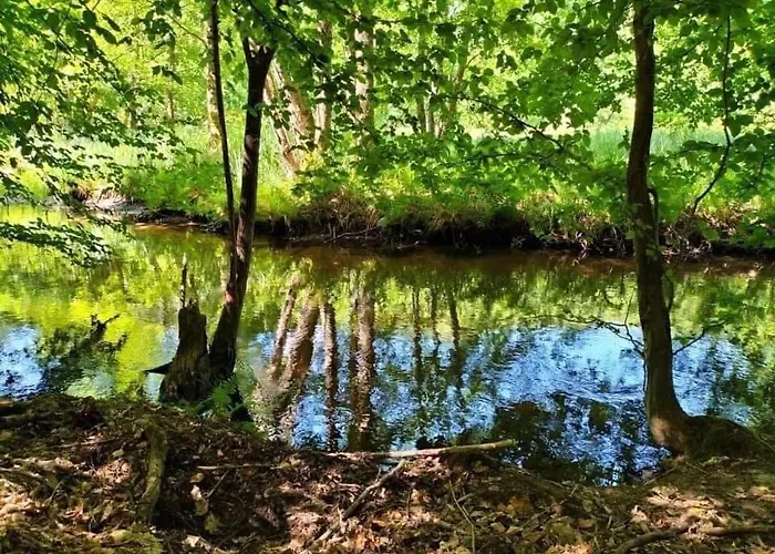 Les Copains De Maui Apartmán *