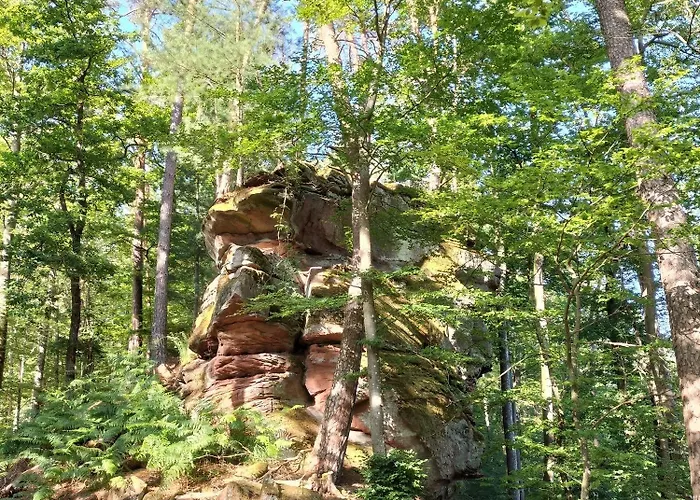 Les Copains De Maui Apartment *